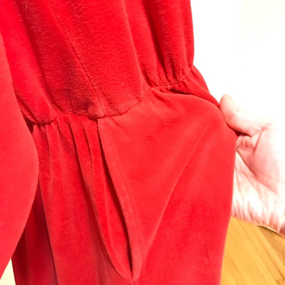Vintage Red Velour Mary Rose Dress - Picture 5 of 5